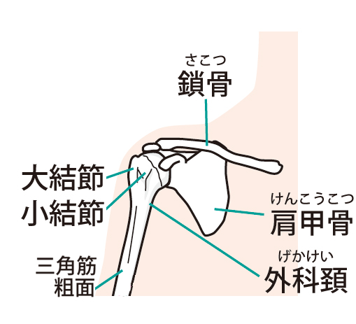 肩関節不安定症